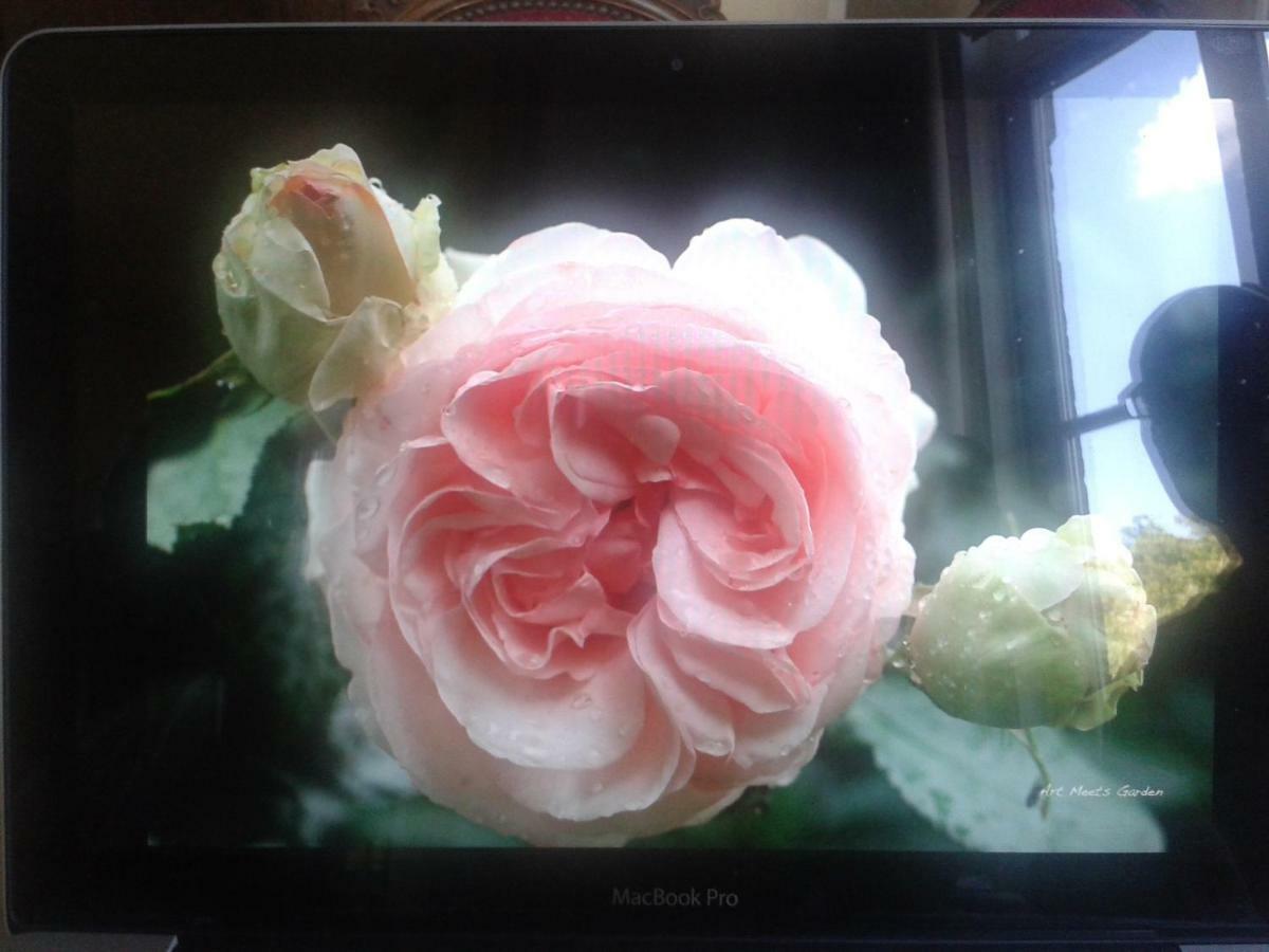 La Villa Des Roses Дюрби Екстериор снимка